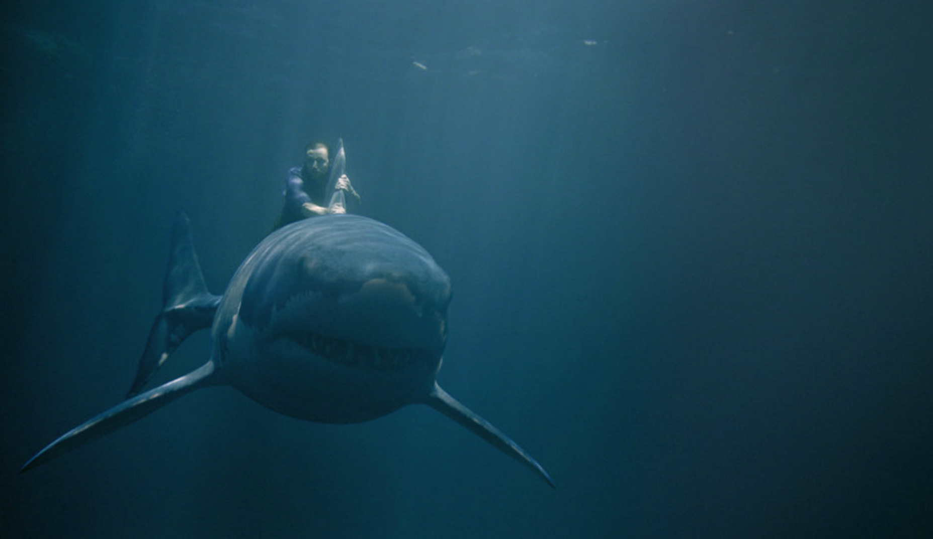 Vodafone – Add Power To Your Life