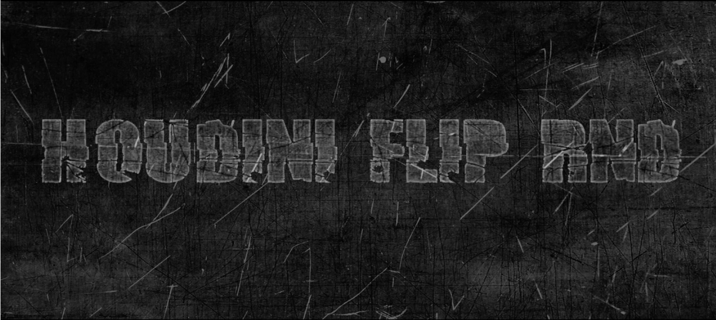 Igor Žanić, Houdini Flip RnD – 500h of flip simulation