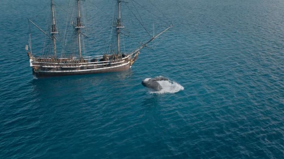 Water simulation course by Igor Zanic